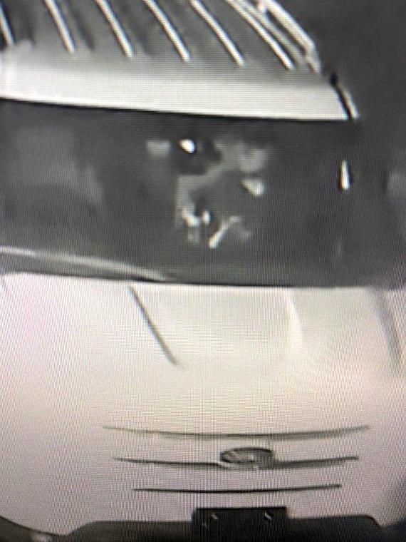 Cedar Street robbery suspect in car